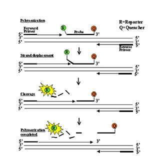 Z6·人生就是博(中国区)有限公司官网